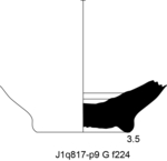 W21d0427 J1q0817-p09 S919 kF cv f224.jpg